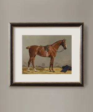 Horse Portrait No. 3