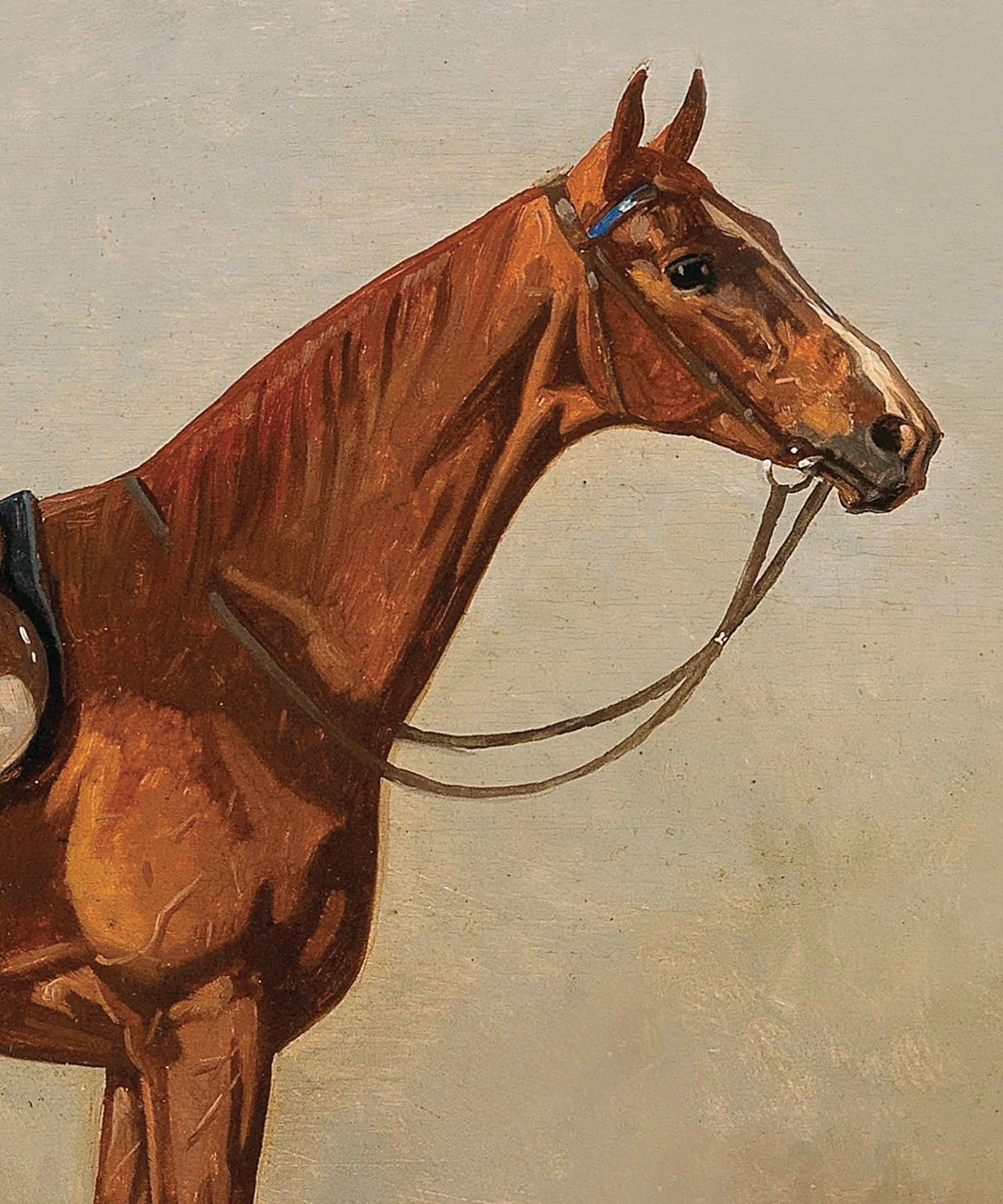 Horse Portrait No. 5