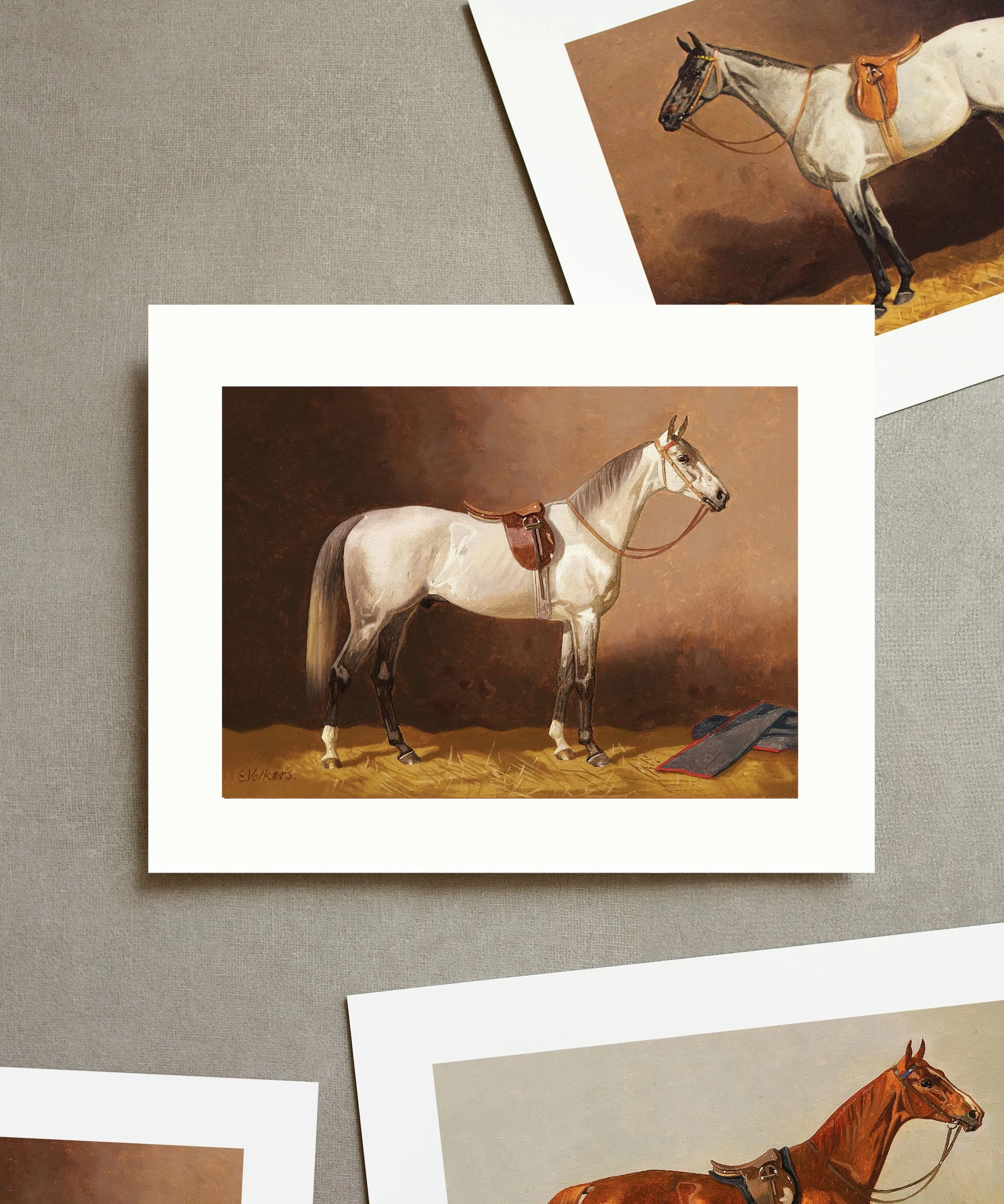 Horse Portrait No. 7