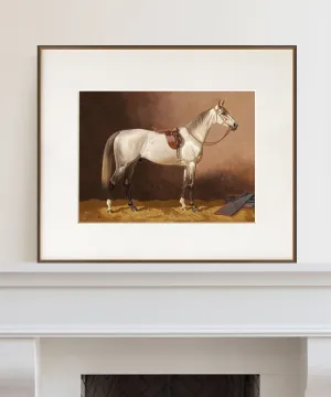 Horse Portrait No. 7