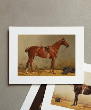 Horse Portrait No. 9