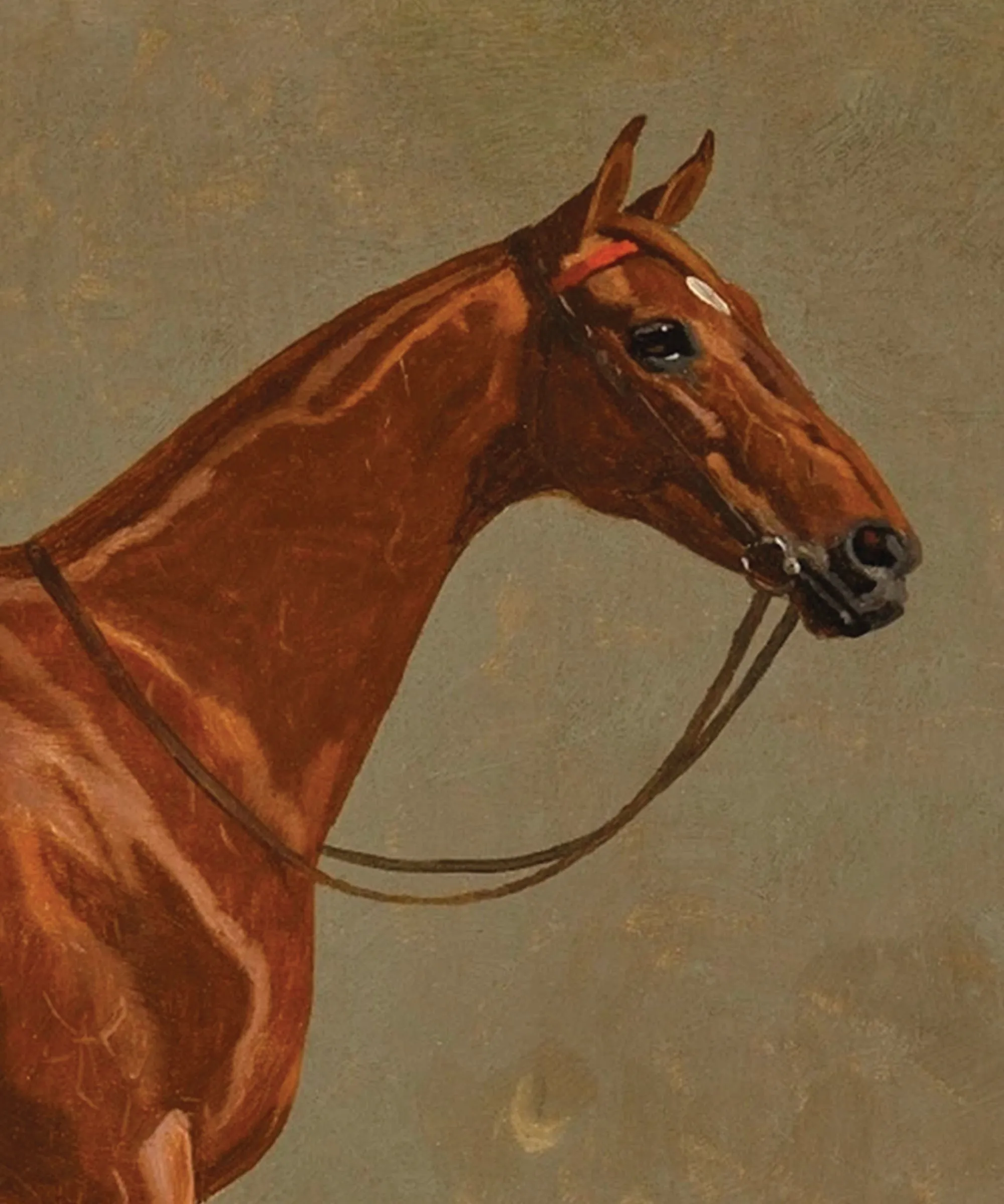Horse Portrait No. 9