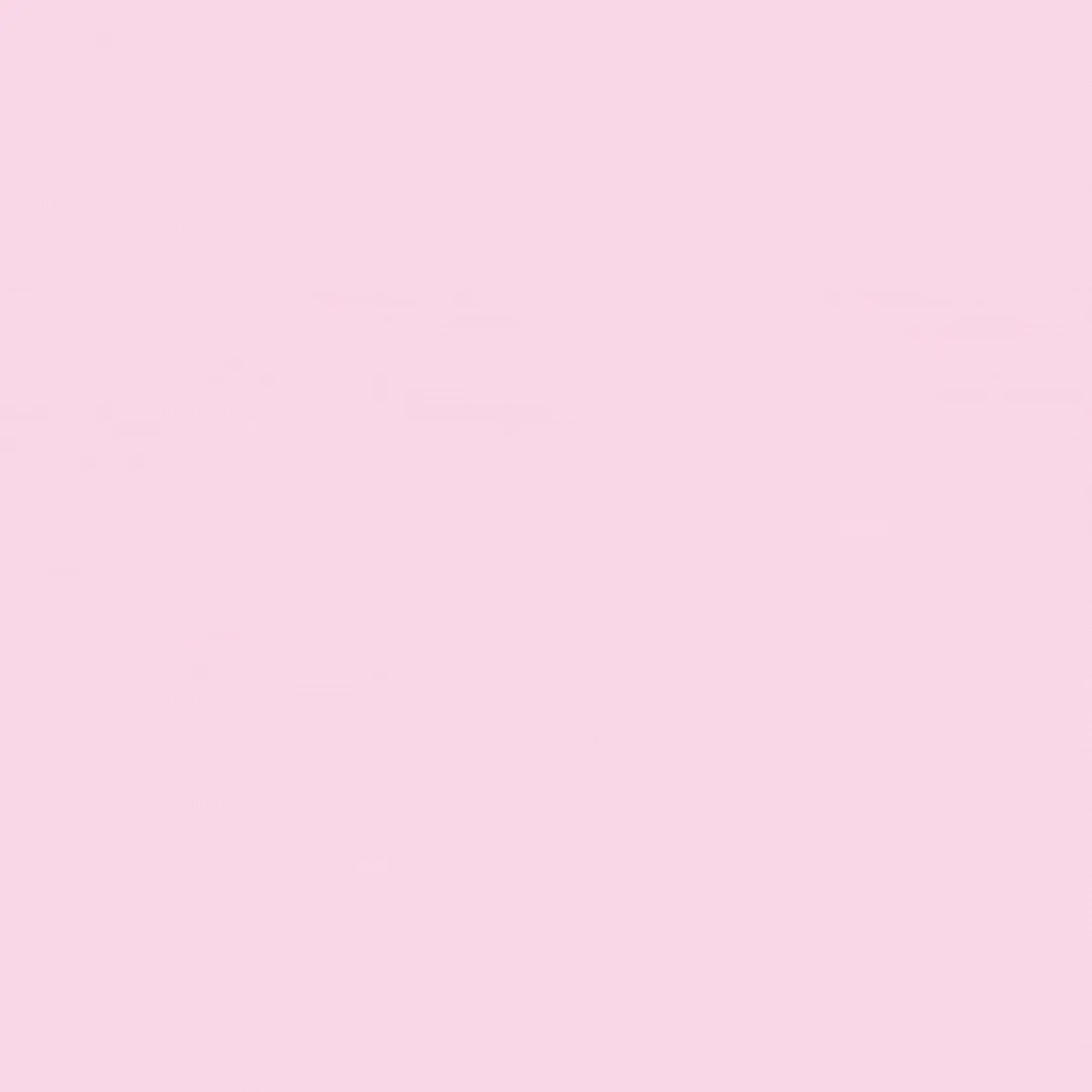 INFLUENCER PALETTE
