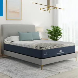 Insignia® Cool Start Cushion Firm Smooth Top Hybrid Mattress