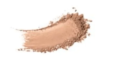 It Cosmetics Celebration Foundation - Powder Foundation 9.5g