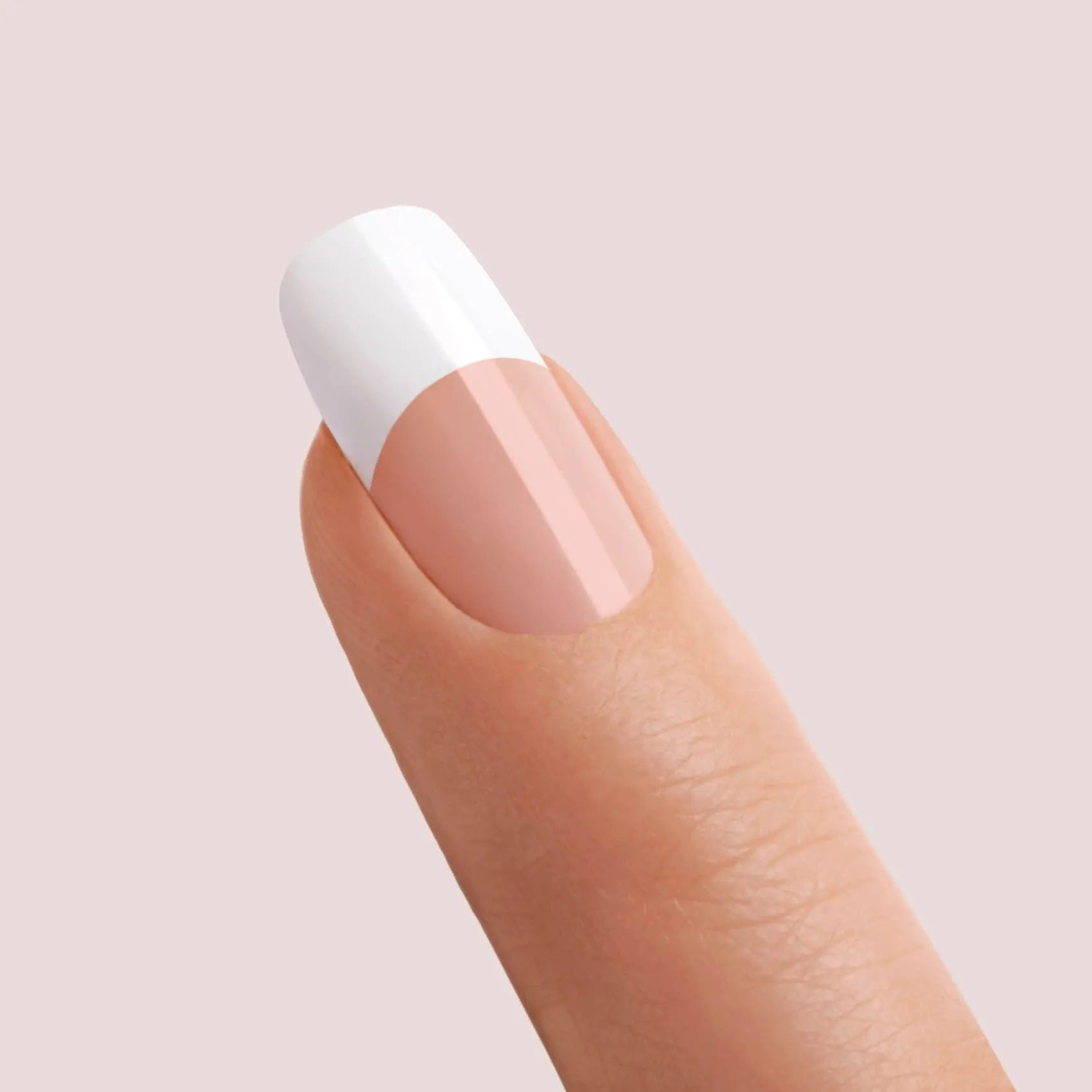 KISS French Acrylic Kit