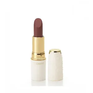 Lasting Lip Color N 105