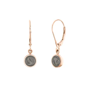 Lever-Back Dome Cremation Dangle Earrings in 14K Rose Gold