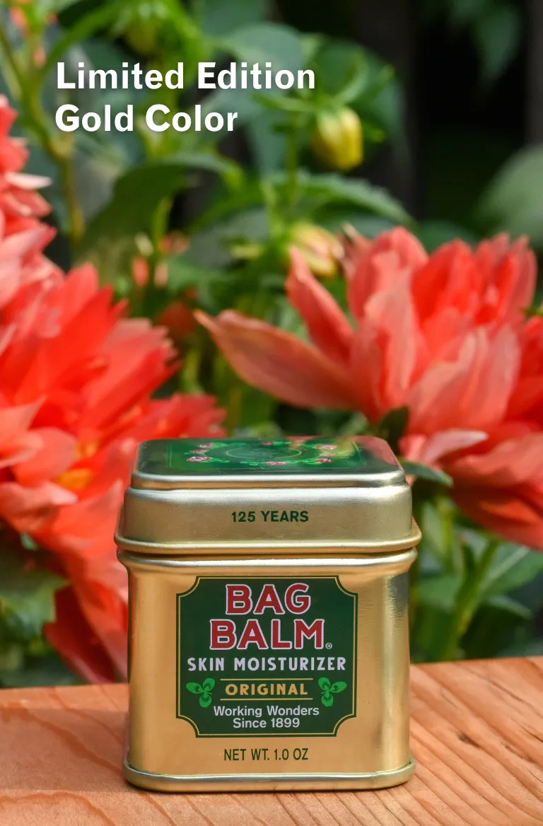 Limited Edition Gold Mini Tin
