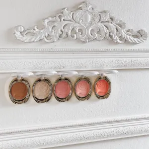 Macarons Powder Set