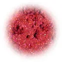 Mineral Blush - Rose Petal