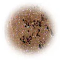 Mineral Eye Shadow - Cocoa