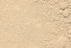 Mineral Foundation