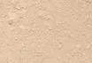 Mineral Foundation