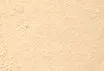 Mineral Foundation