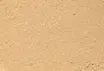 Mineral Foundation