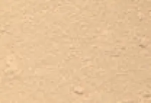 Mineral Foundation