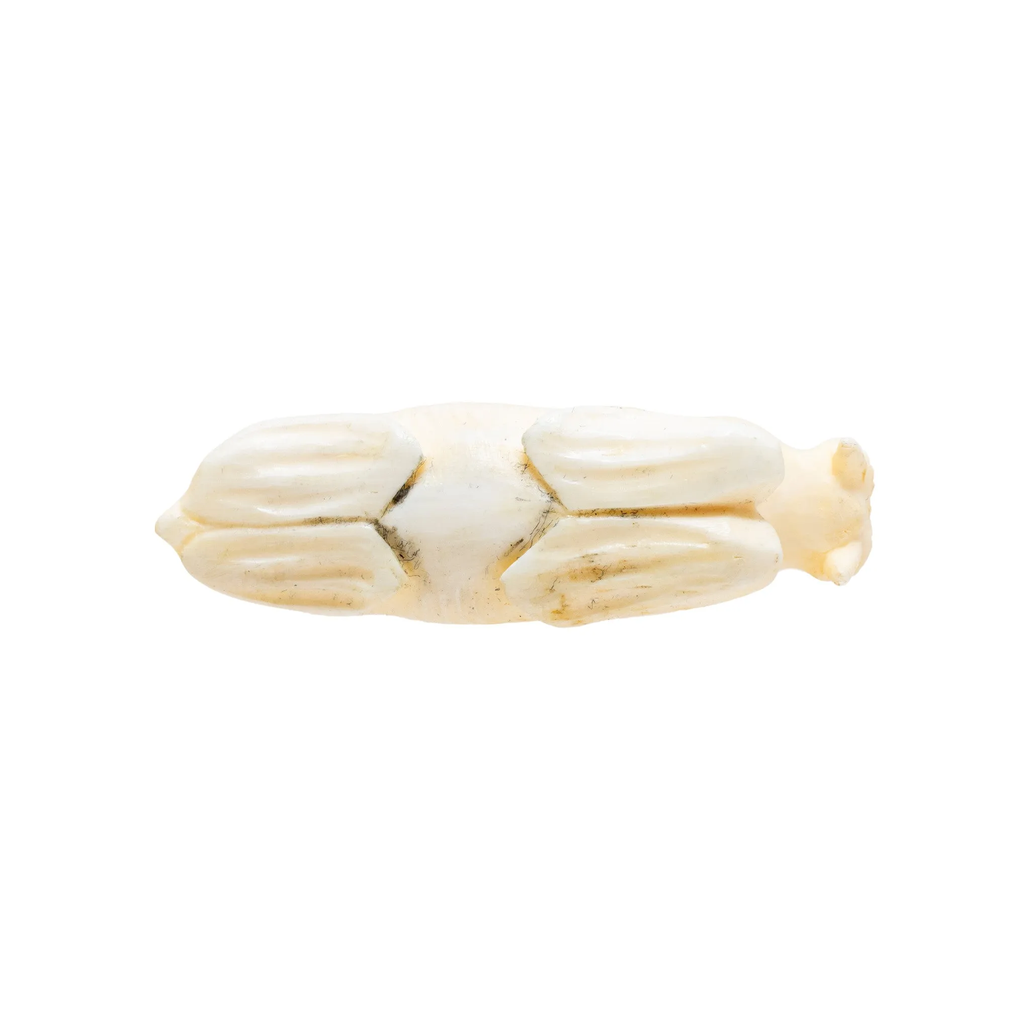 Miniature Inuit Walrus Ivory Sea Lion