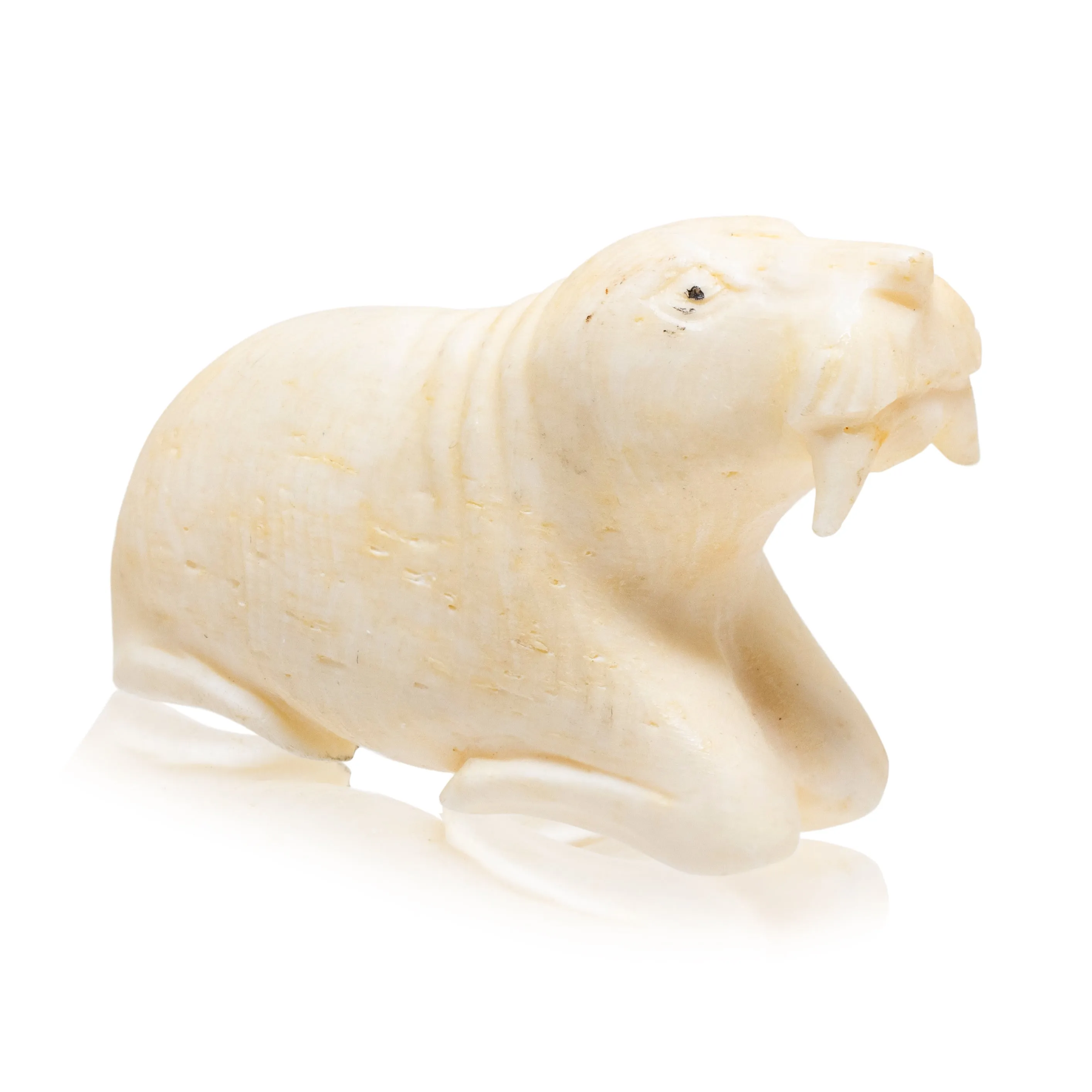 Miniature Inuit Walrus Ivory Sea Lion