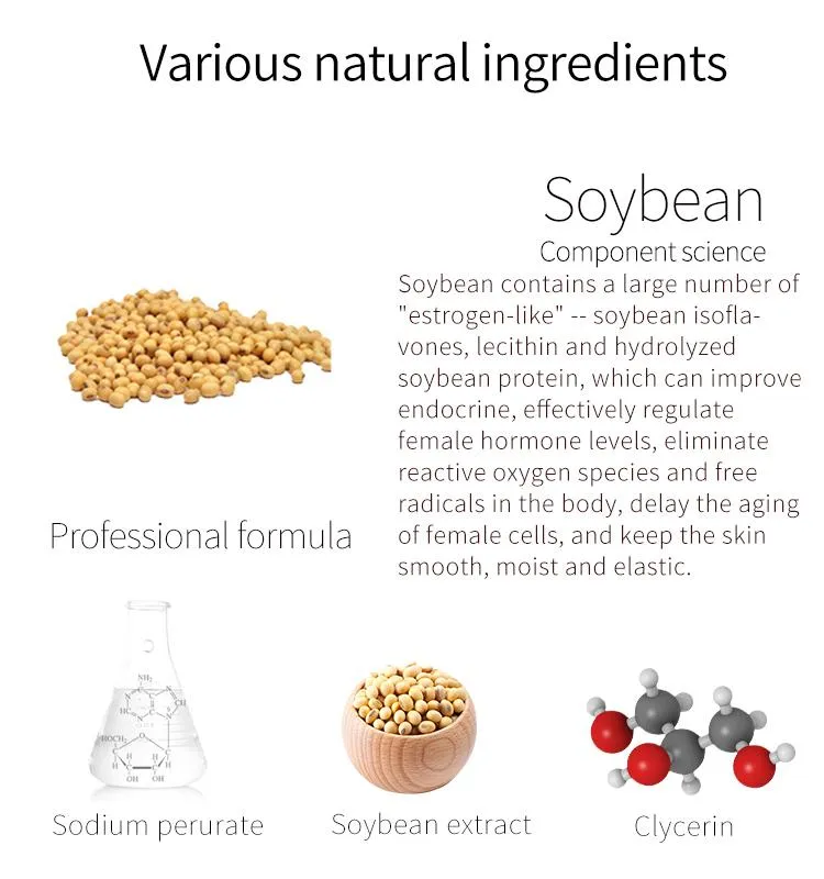 Mitomo Glowing Soy Bean Skin Toner [TXSA00002-A-250]