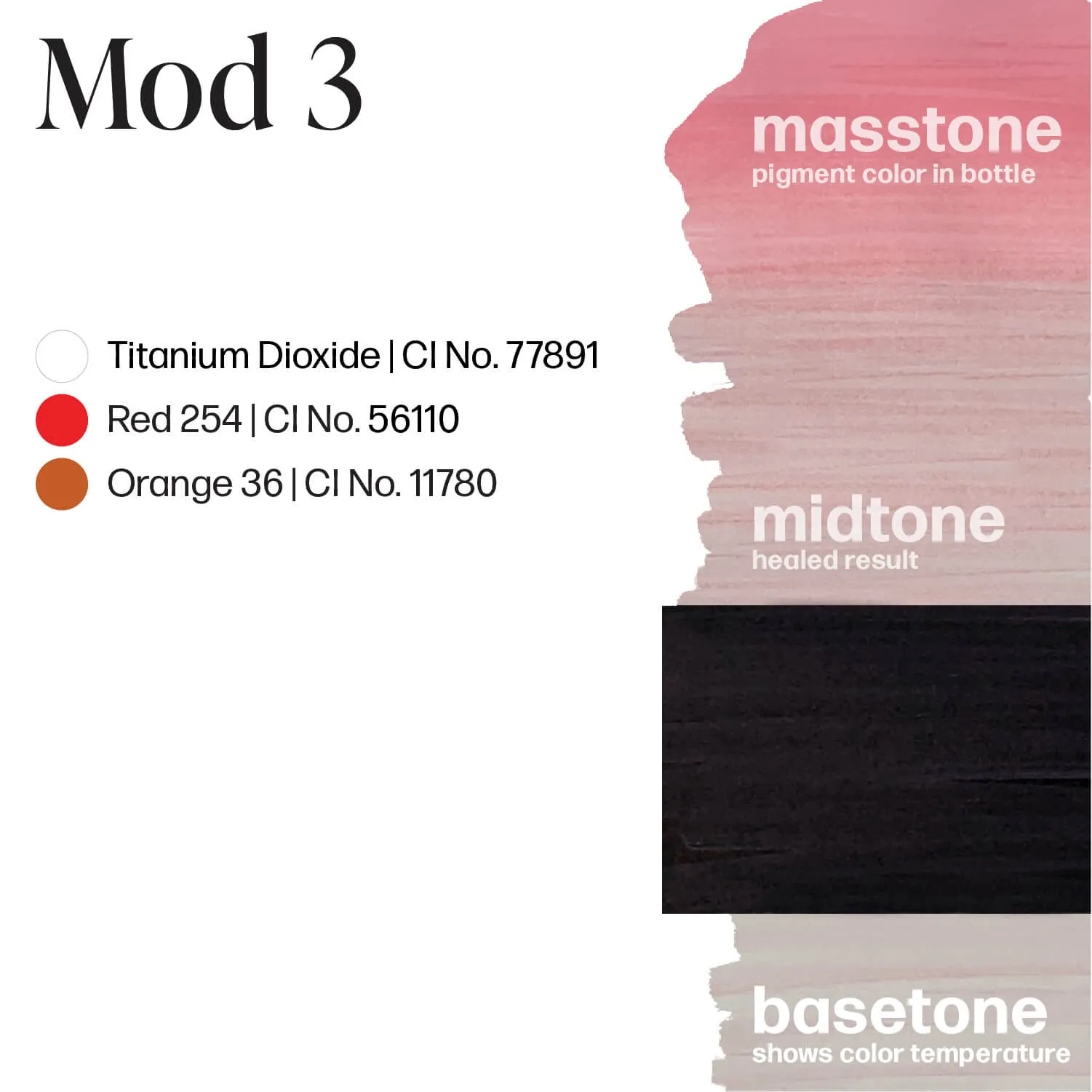 Mod 3 - Carla Ricciardone Embody