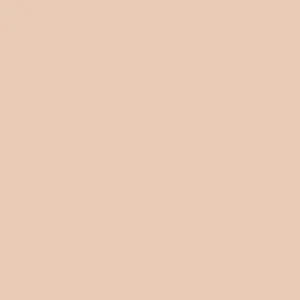 MooGoo Makeup Mineral Eye Shadow 2g