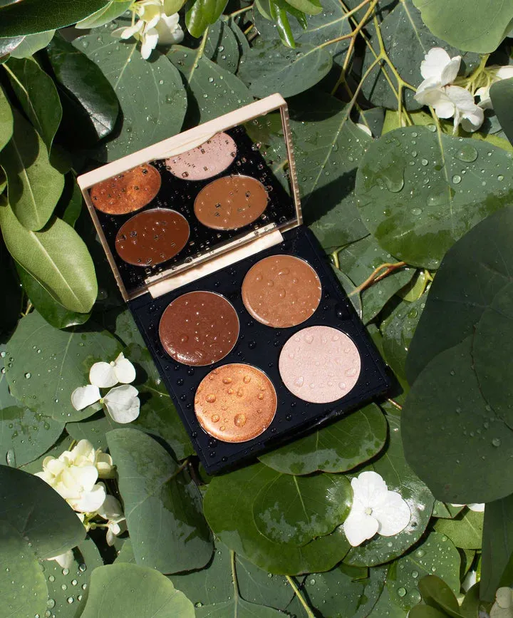 MULTI-USE CERAMIDE CREAM LIP   CHEEK PALETTE
