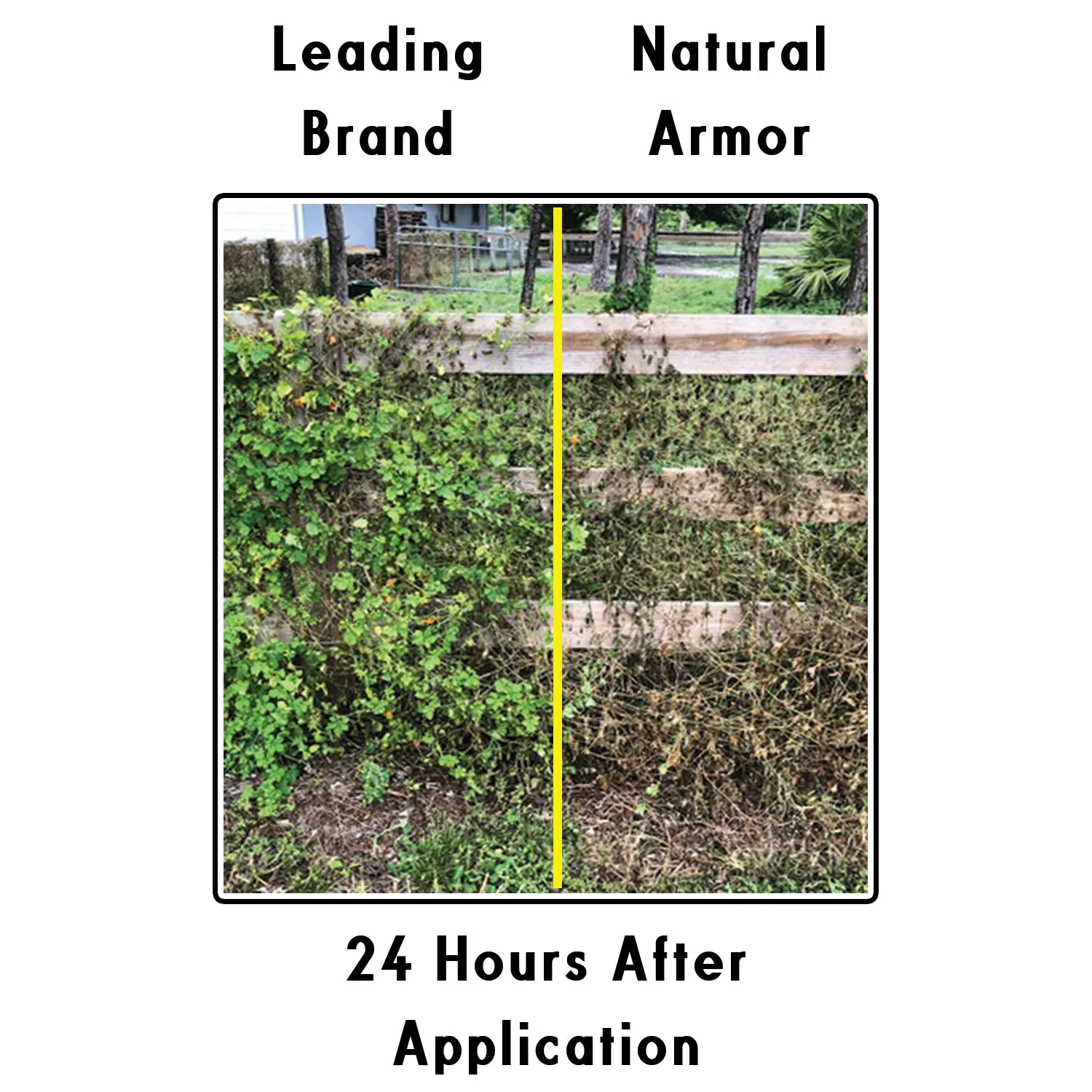 Natural Armor All-Natural Weed Killer - GALLON (128 oz.)