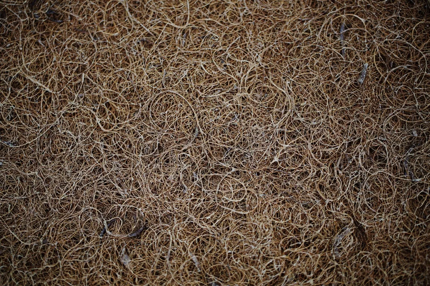 Natural Coir DISPLAY Bed Rug by Savvy Rest
