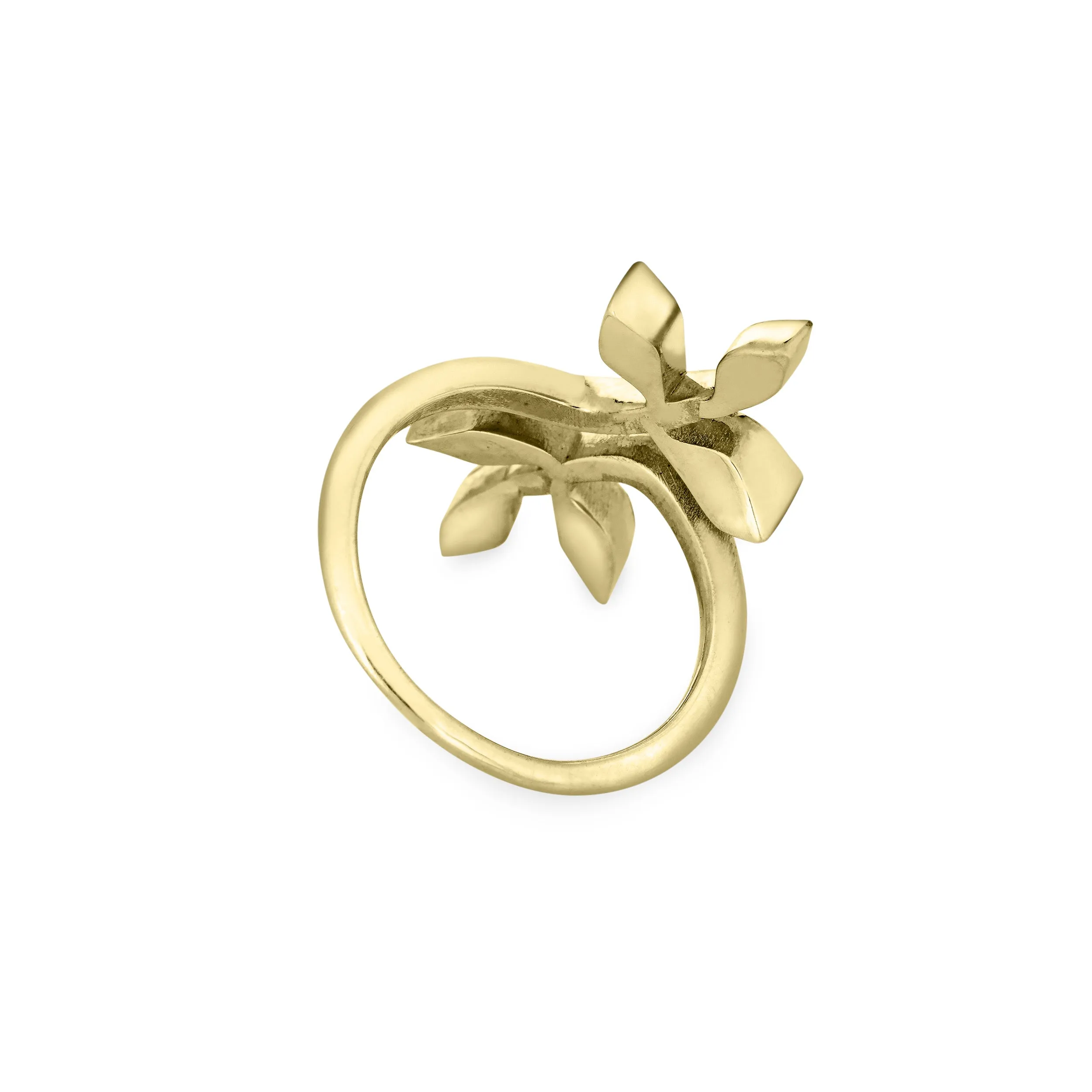 Olive Branch Cremation Ring in 14K Yellow Gold