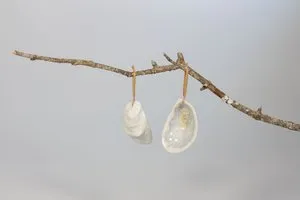 Oyster Ornament