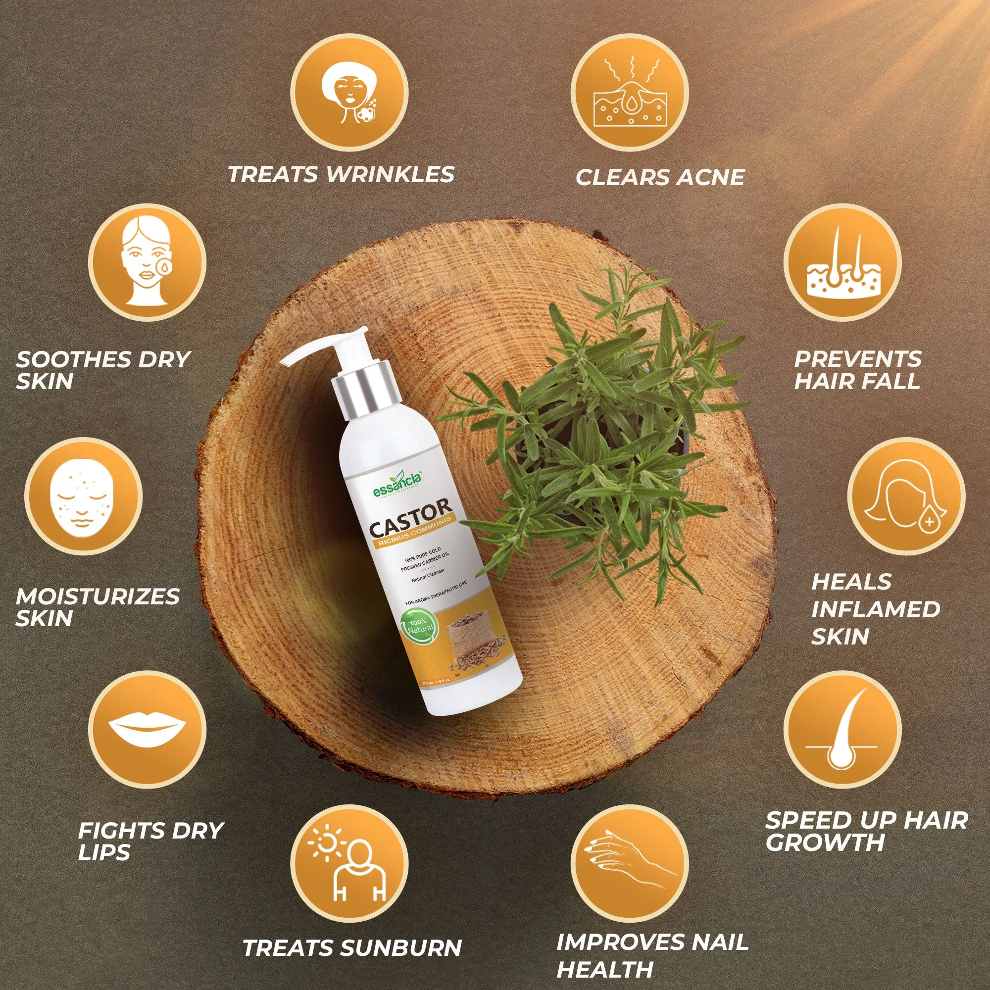 Pack of 6 Carrier oils (Almond, Apricot, Castor, Coconut, Olive, Sesame)
