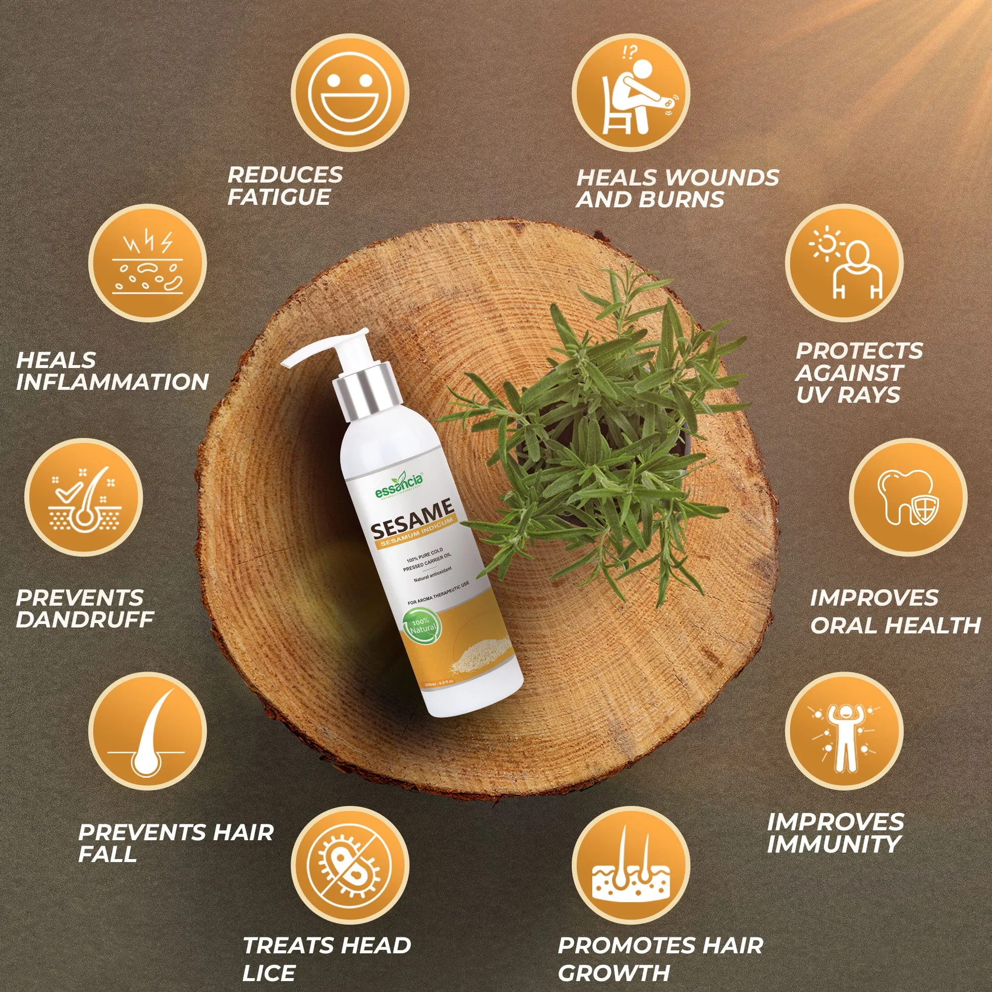 Pack of 6 Carrier oils (Almond, Apricot, Castor, Coconut, Olive, Sesame)