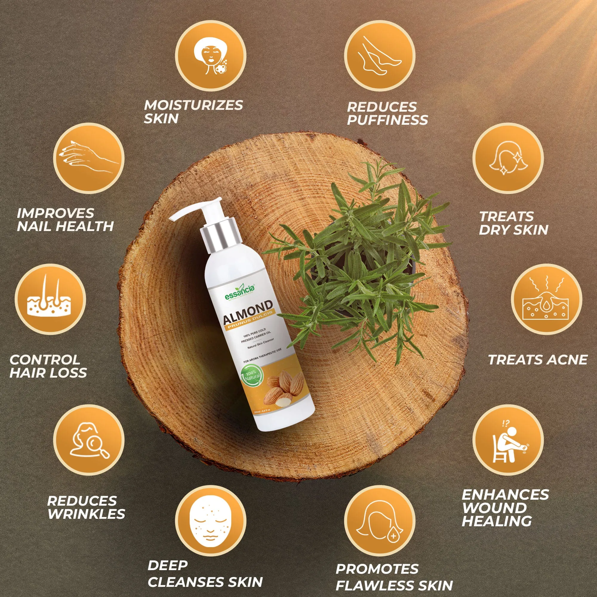 Pack of 6 Carrier oils (Almond, Apricot, Castor, Coconut, Olive, Sesame)