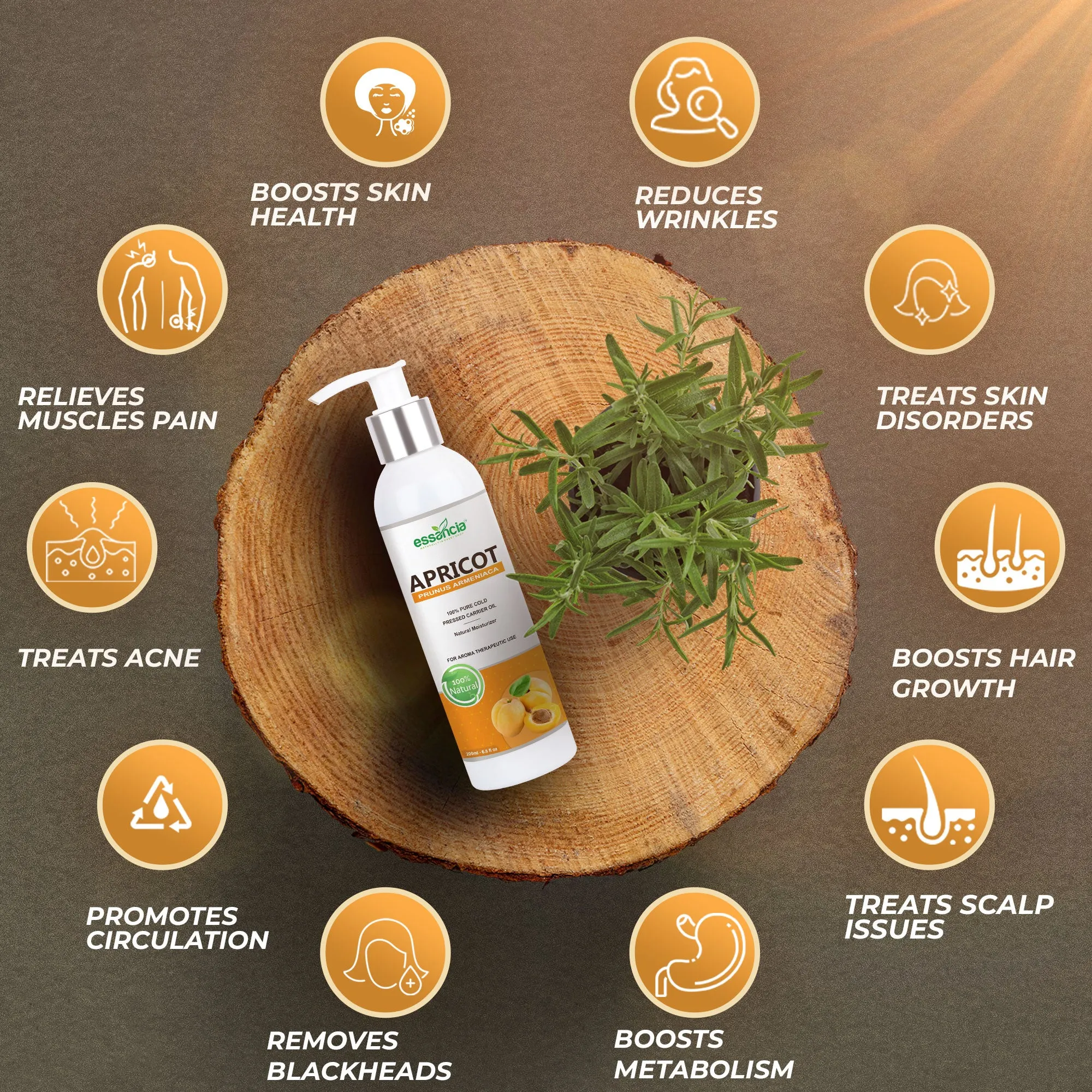 Pack of 6 Carrier oils (Almond, Apricot, Castor, Coconut, Olive, Sesame)