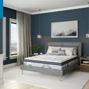 Passions Engleson Cushion Firm Hybrid Euro Pillowtop Mattress