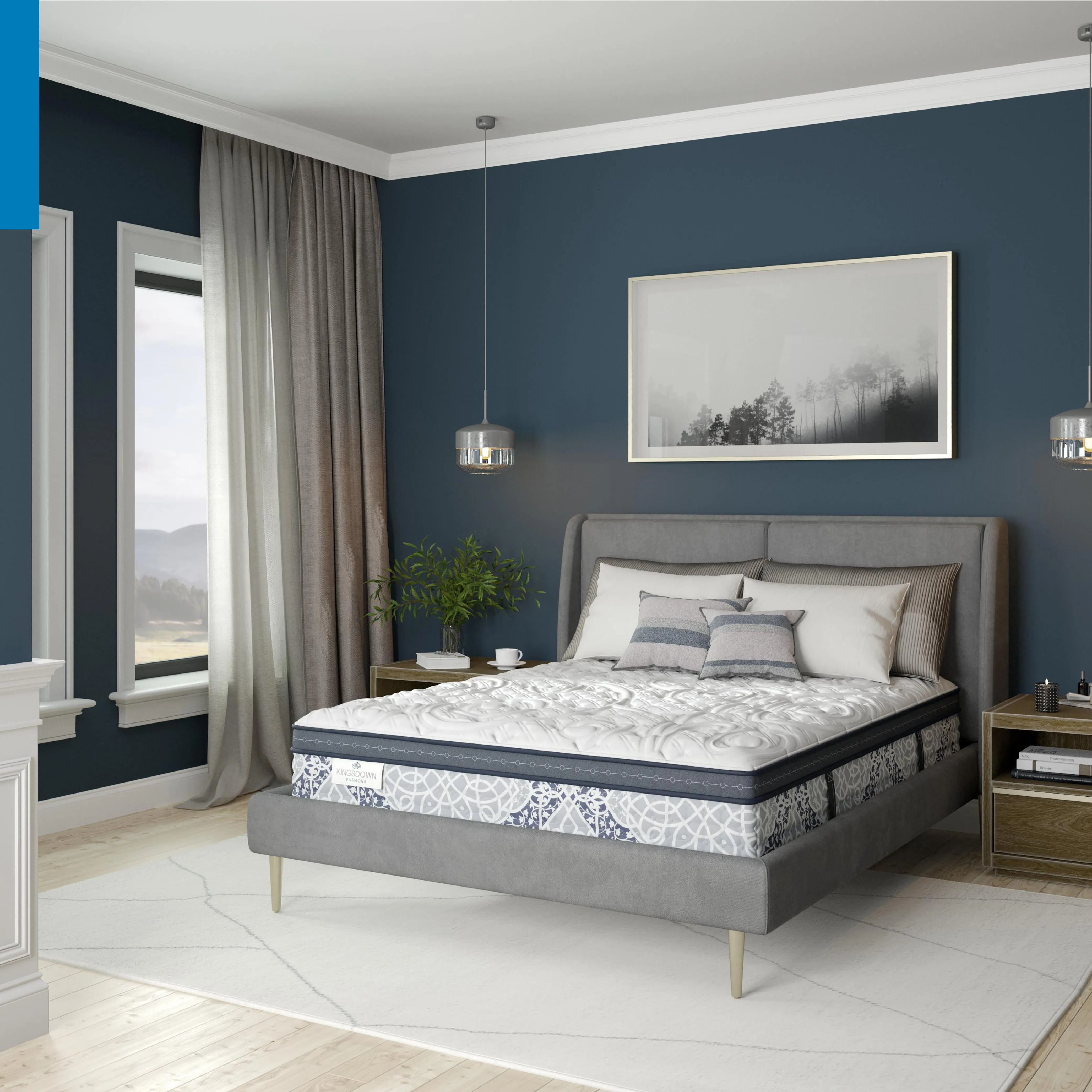 Passions Engleson Cushion Firm Hybrid Euro Pillowtop Mattress
