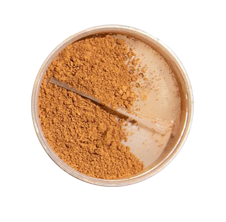 Perfecting Foundation