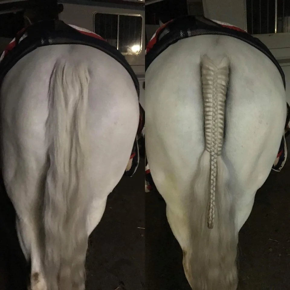 Plaiting Wax