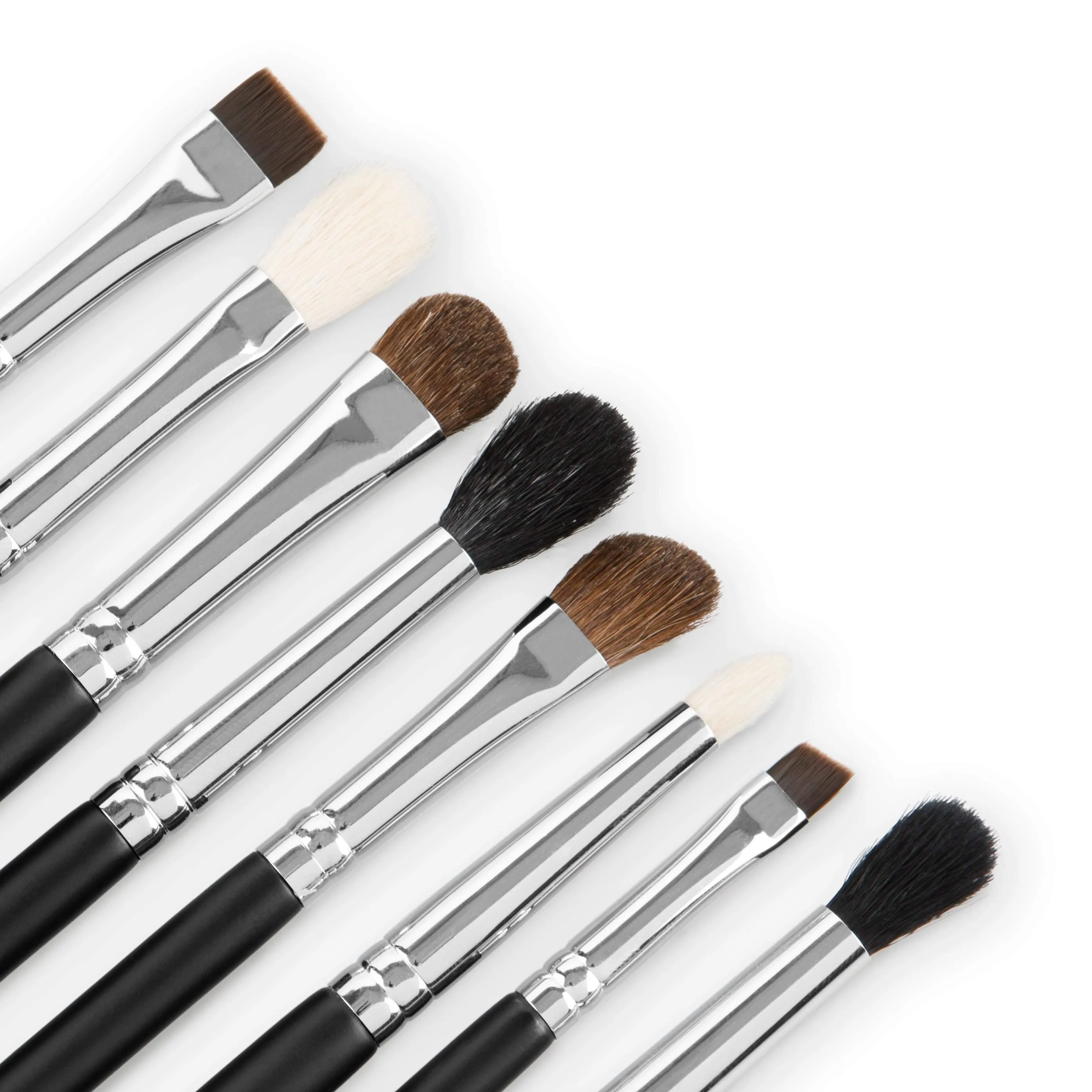 pro Series Eye Brush Set with Case