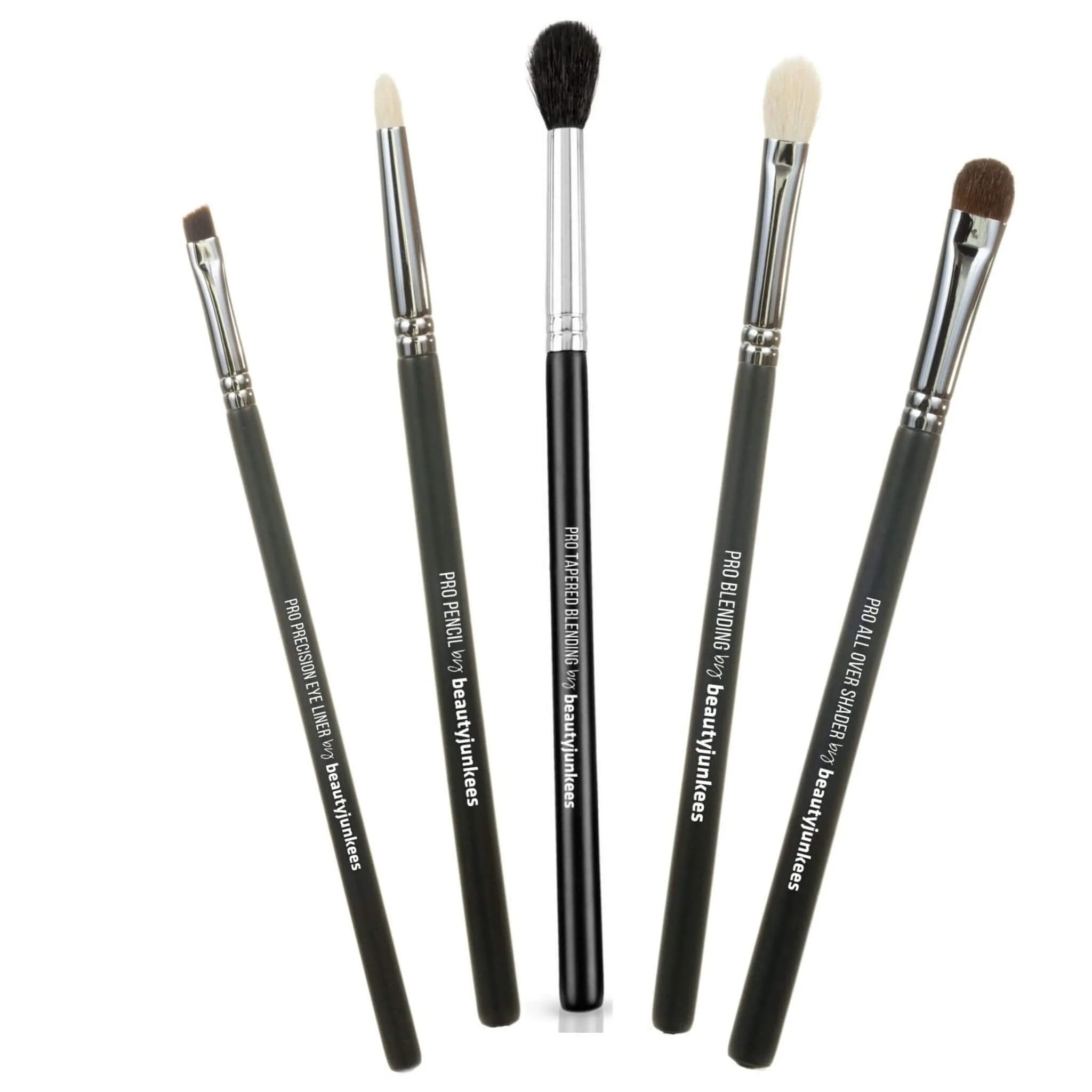 Professional Eye Makeup Brush Set