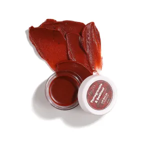 Prolixr Pomegranate & Beetroot Lip Balm - 8gm | Lip Balm For Dry And Chapped Lips | Lip Balm For Men & Women | Lip Balm For Pigmented Lips | Lip Care