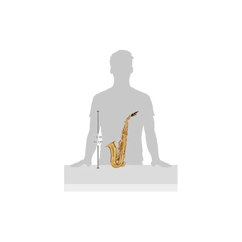 Saxofón Soprano Tonalidad Bb Mástil Rnd Roy Benson Sg-302
