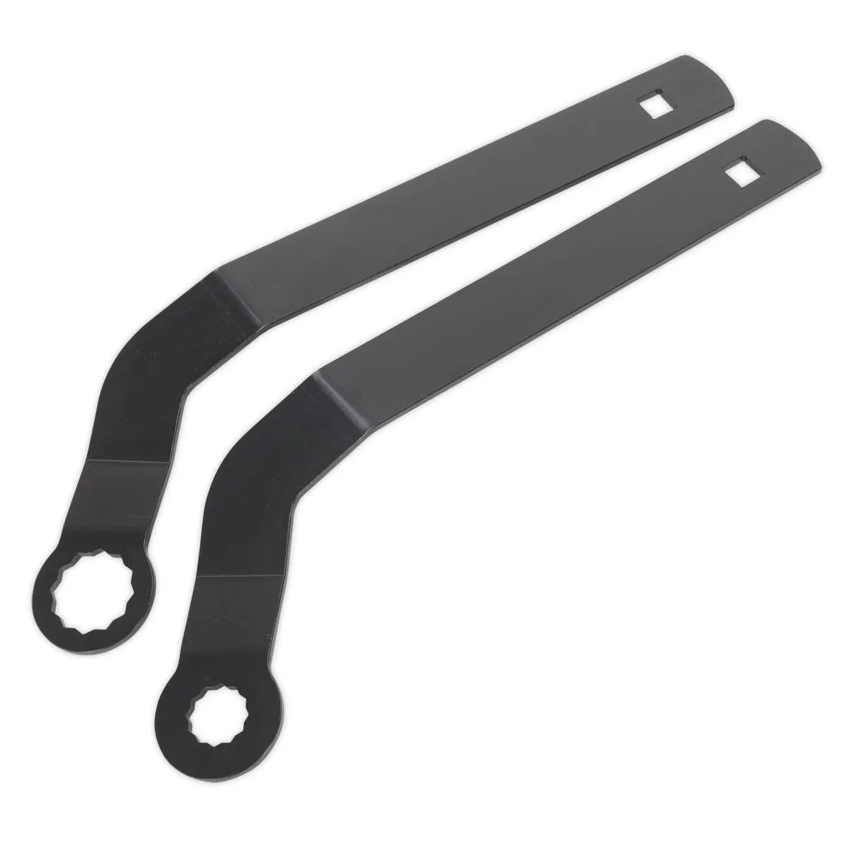 Sealey Auxiliary Belt Tensioner Spanner Set - for BMW Mini