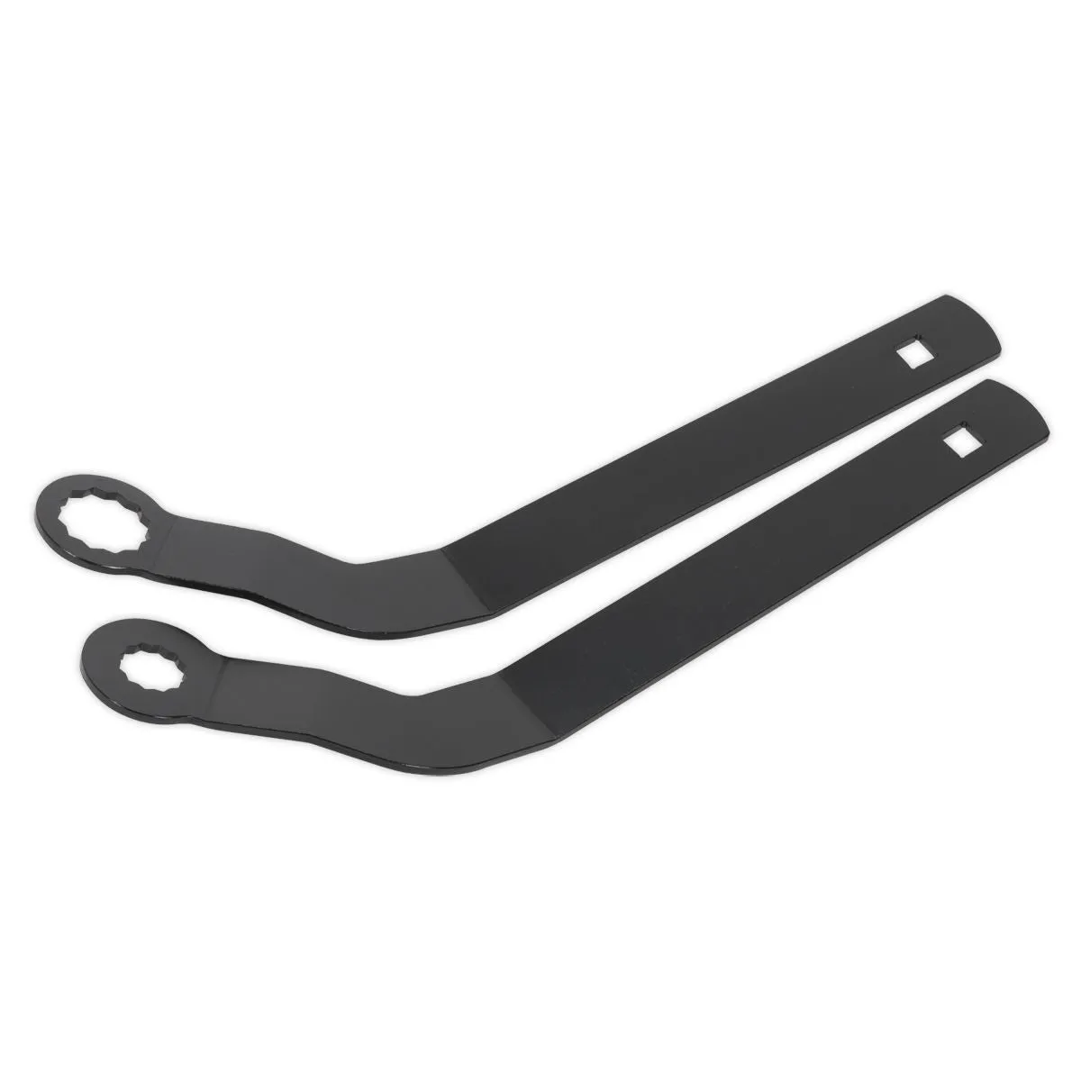 Sealey Auxiliary Belt Tensioner Spanner Set - for BMW Mini