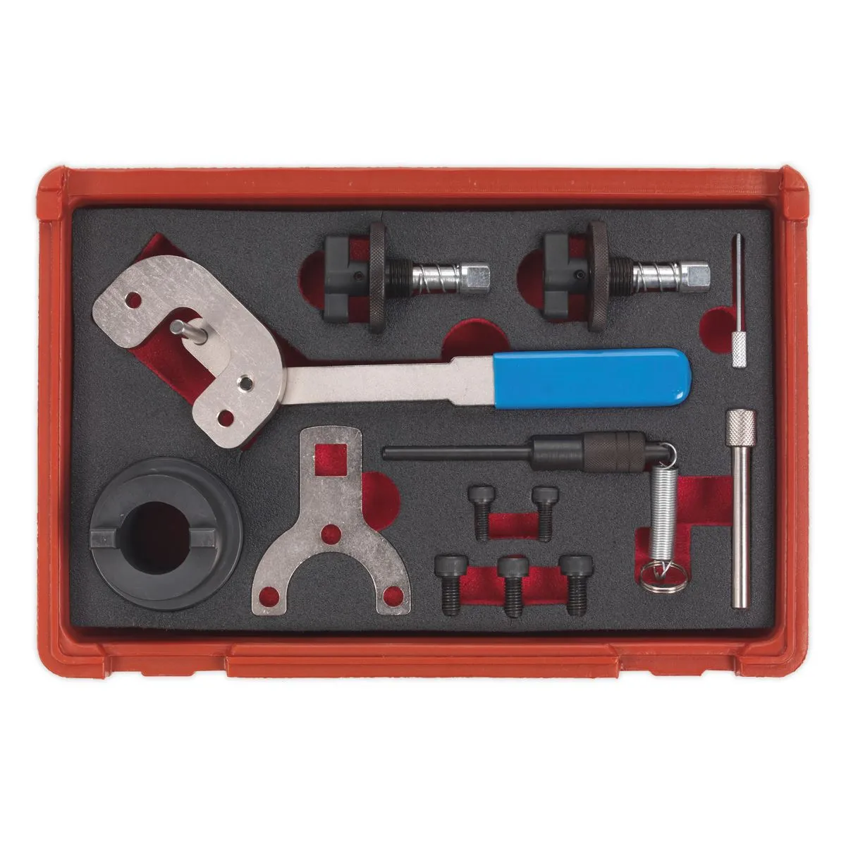 Sealey Diesel Engine Timing Tool Kit - for Alfa Romeo, Ford, PSA, Suzuki, GM 1.3D 16v - Chain Drive
