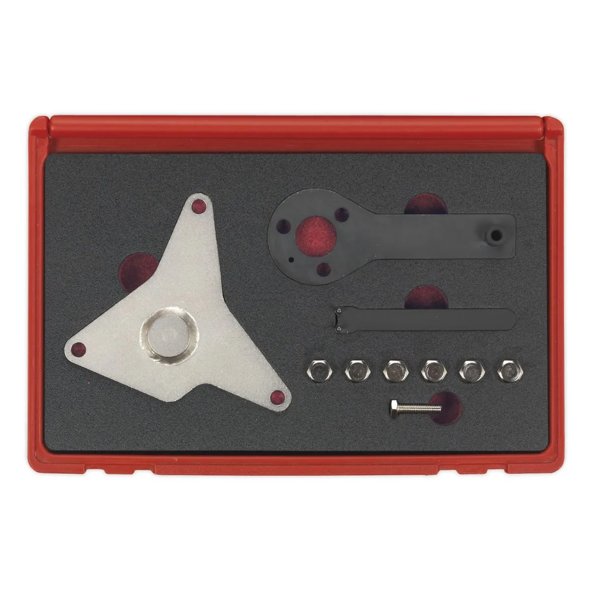 Sealey Petrol Engine Timing Tool Kit - for Fiat 1.4 MultiAir - Belt Drive