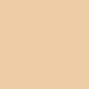 Serum Foundation