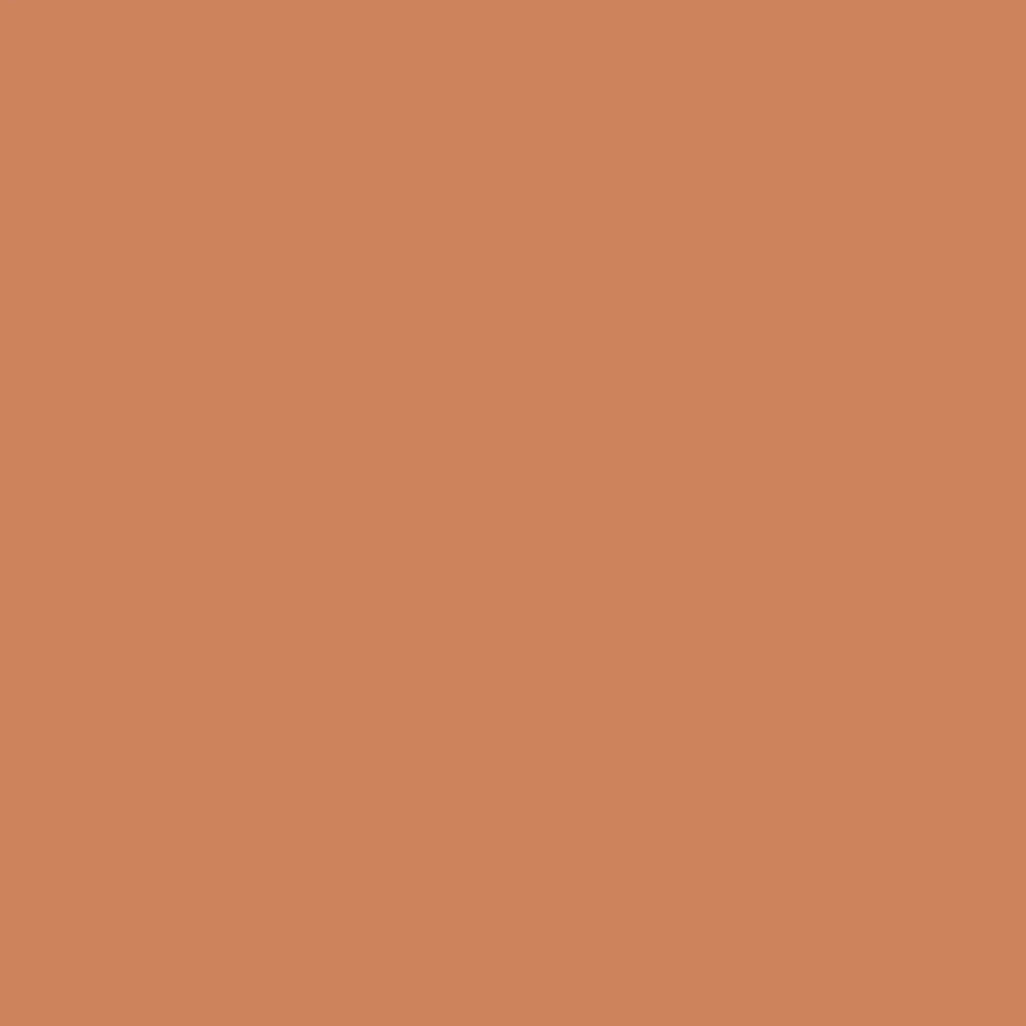 Serum Foundation