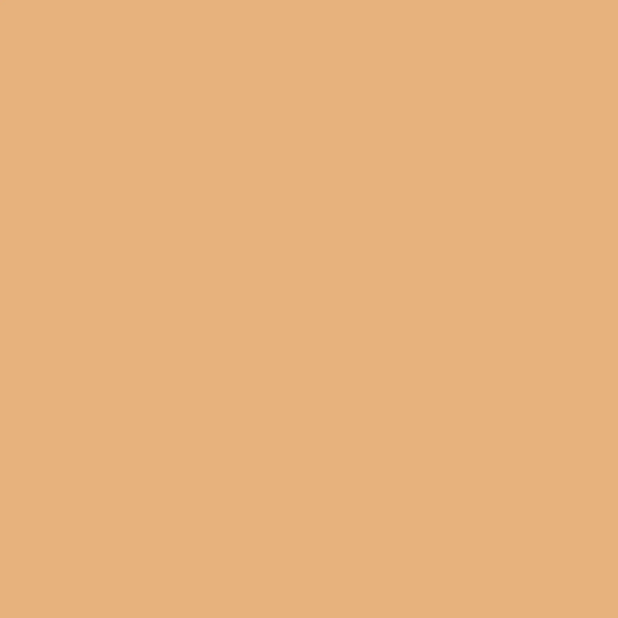 Serum Foundation